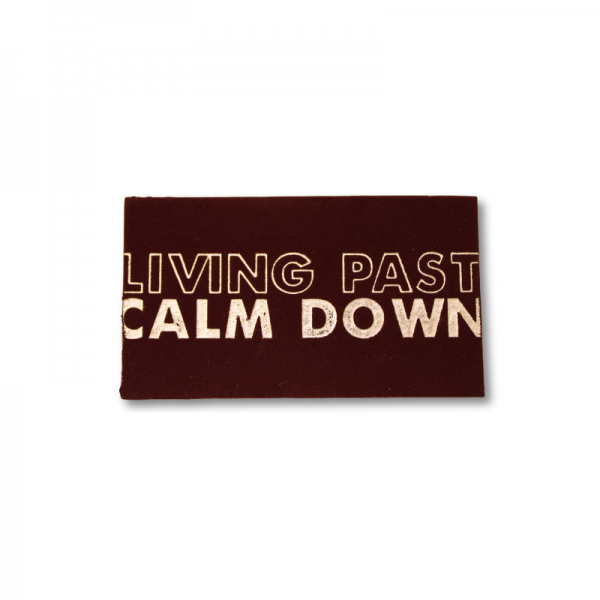 Etiqueta de Pu com Foil 1 Cor 3x6